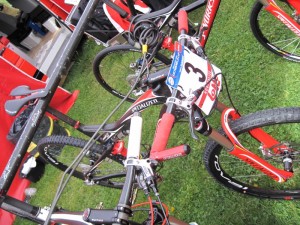 Stander_1