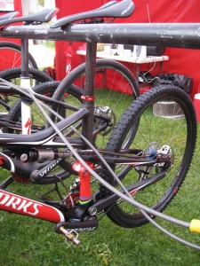 Stander_2